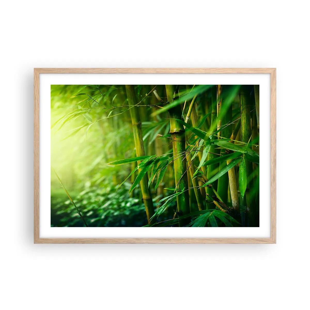 Plakat w ramie jasny dąb - Poznać zieleń samą w sobie - 70x50 cm