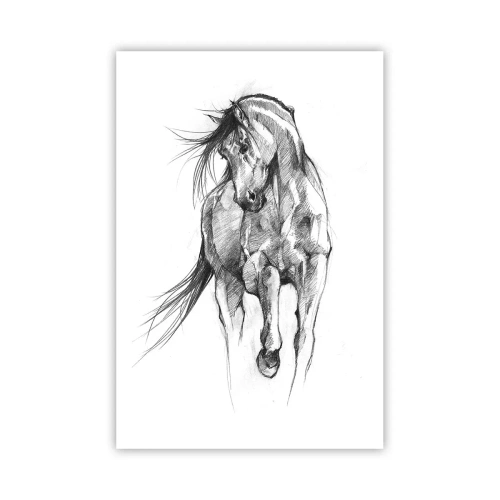 Plakat - We wdzięcznym kłusie - 61x91 cm