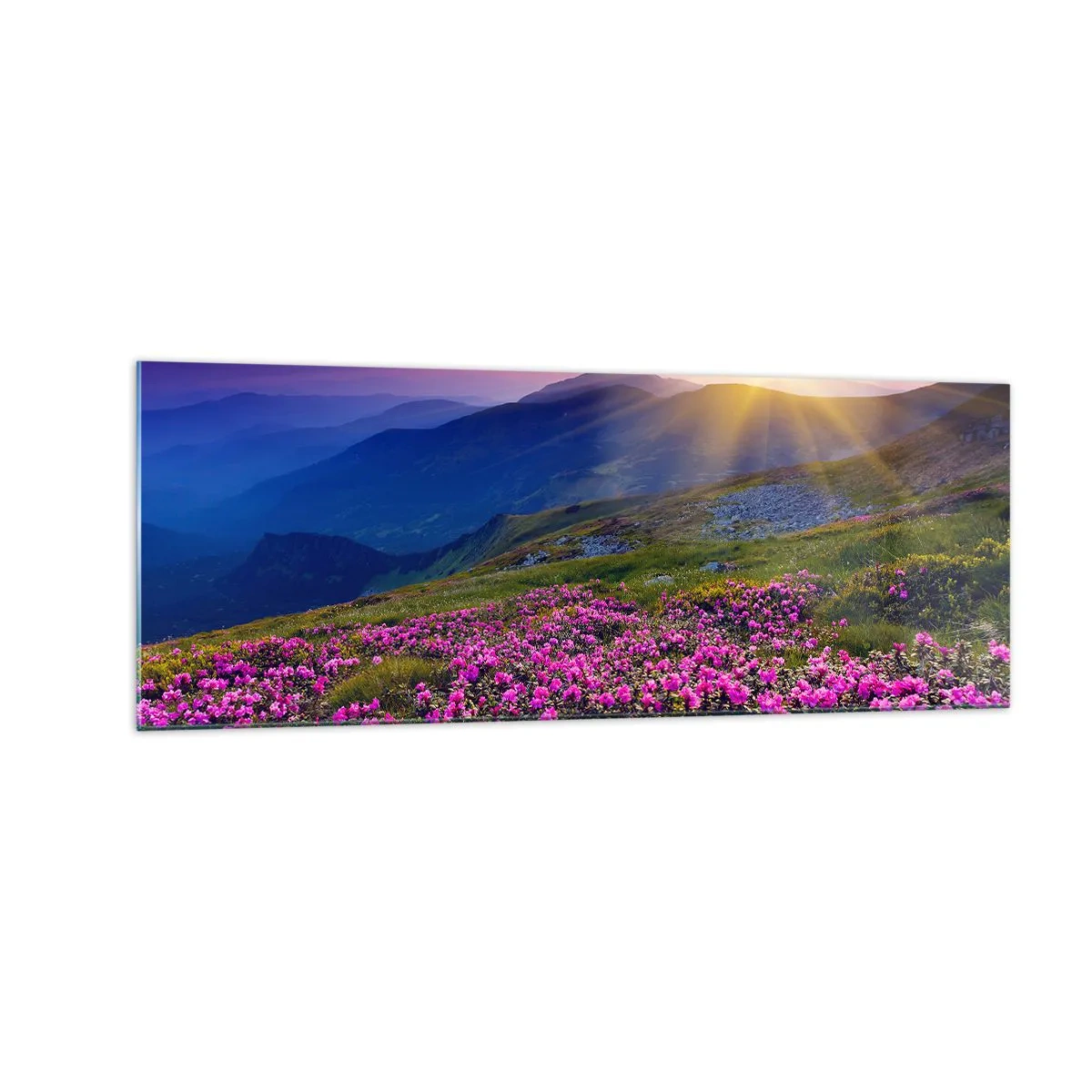 Obraz na szkle - Kwitnąca łąka z widokiem na góry podczas zachodu słońca - 140x50cm - … A dokoła pachnie kosodrzewina i wonieją zioła - Nowoczesna dekoracja ścienna do salonu i sypialni ARTTOR