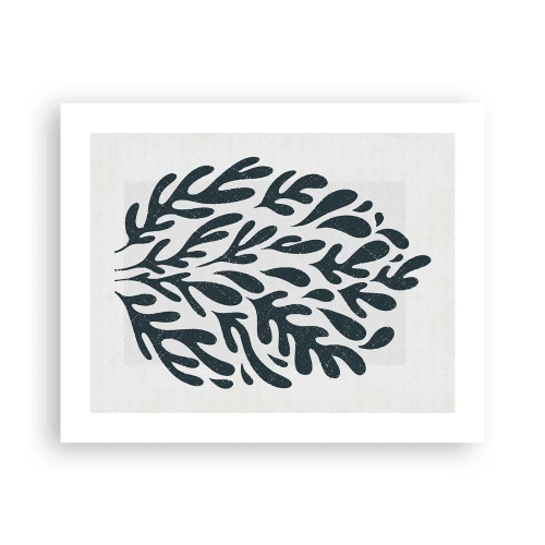 Plakat - Kształty natury - 50x40 cm