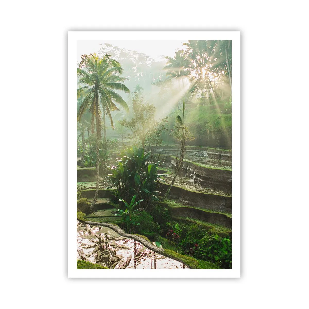 Plakat - Dorastać w słońcu - 70x100 cm