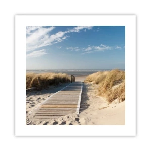 Plakat - Za wydmą, w szumie traw - 40x40 cm