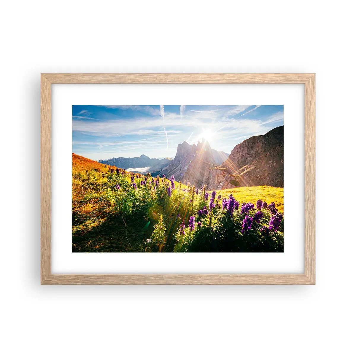 Plakat w ramie jasny dąb - Sekretne życie ziół - 40x30 cm