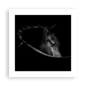 Plakat - Czarny książę - 40x40 cm