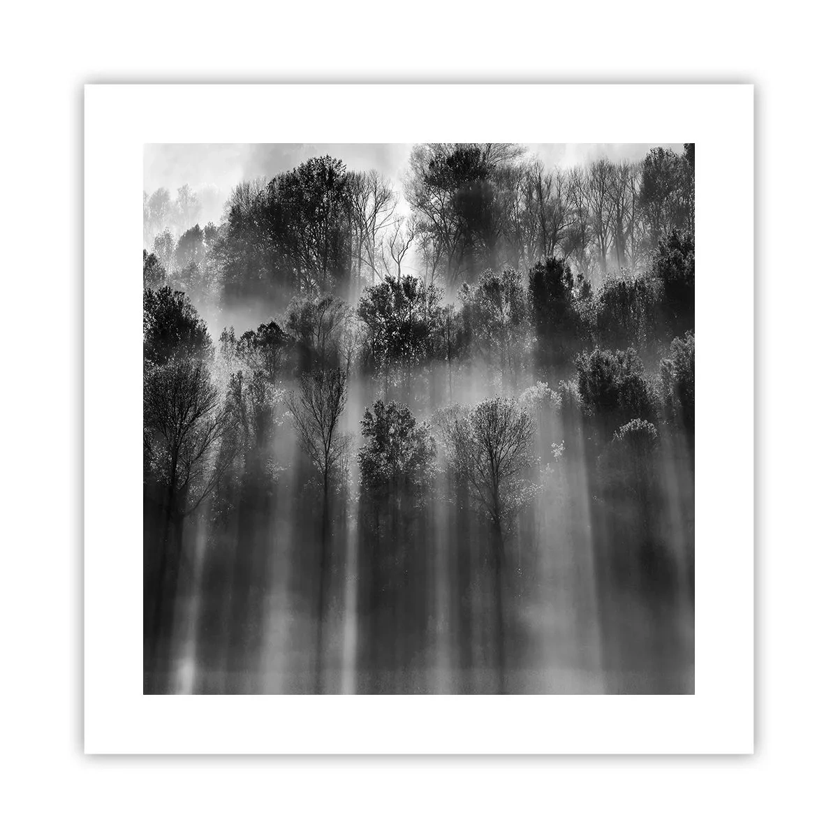 Plakat - W strumieniach światła - 40x40 cm