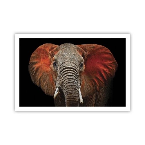 Plakat - Jestem dziki, a ty? - 91x61 cm