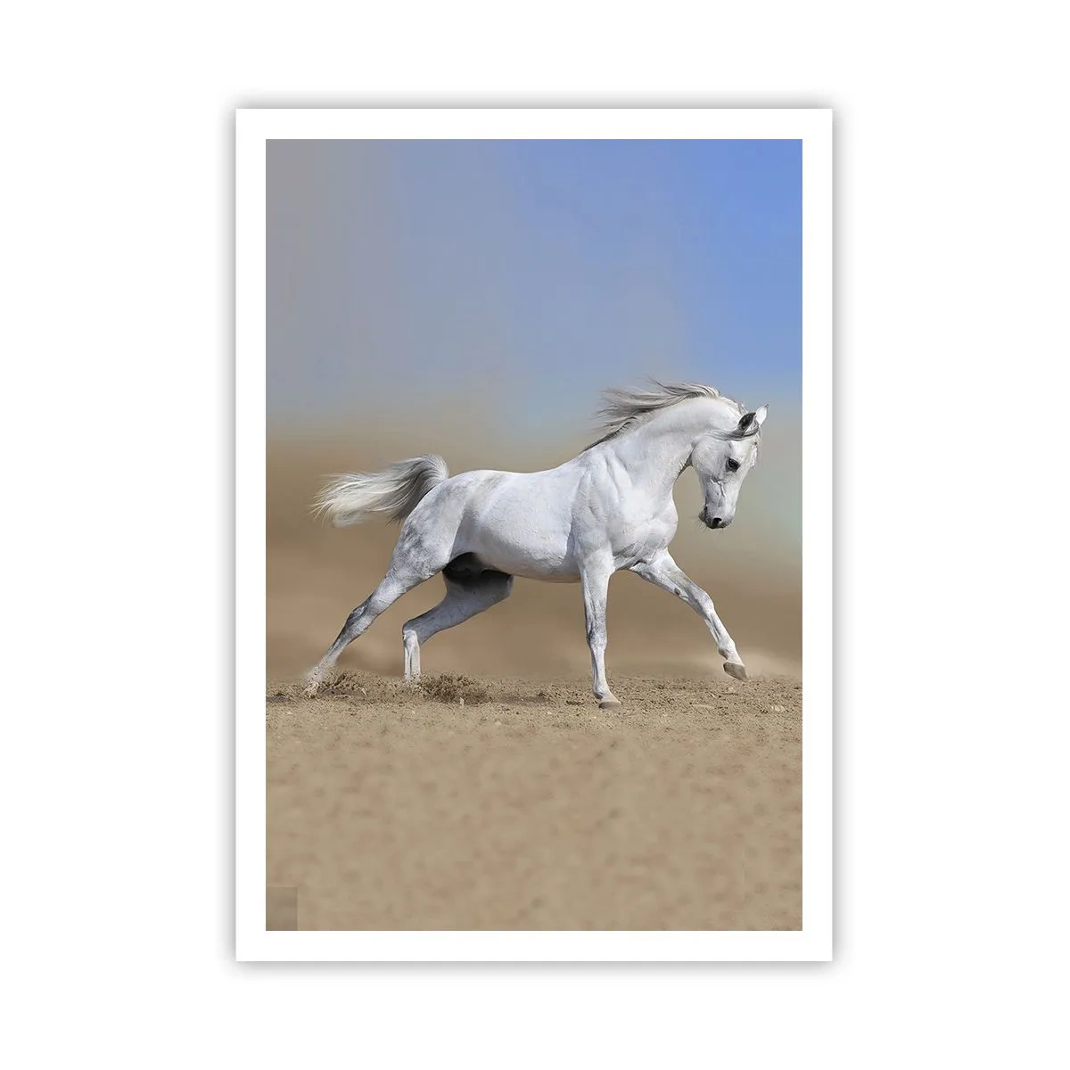 Plakat - Najpiękniejsza arabska baśń - 70x100 cm