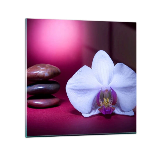 Obraz na szkle - Studium świeżości w fiolecie - 70x70 cm