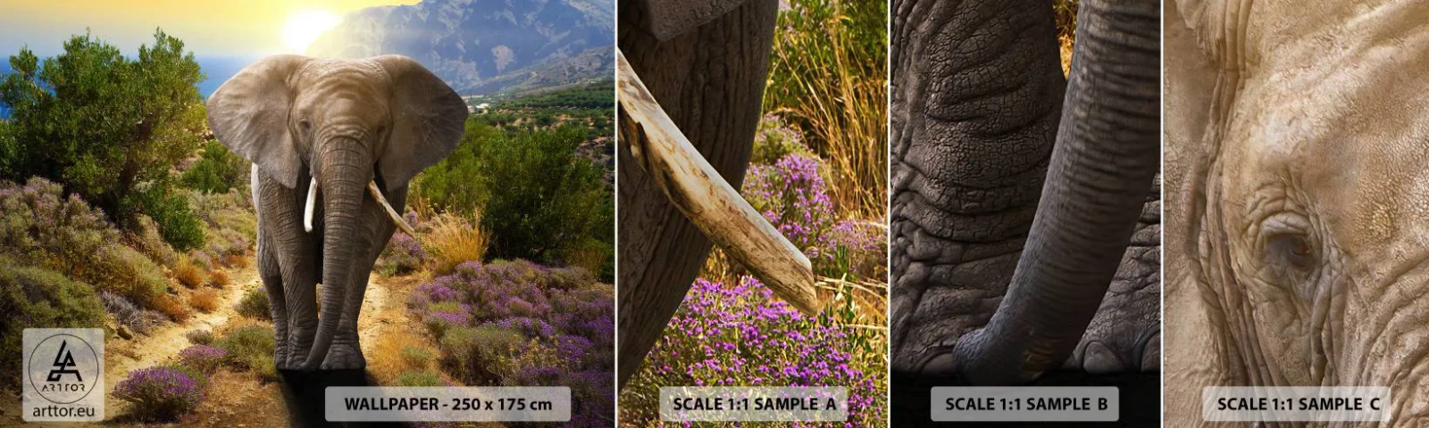 Fototapeta Próbka Standard Eco - Tak wyglądał Eden - Zwierzęta, Słoń, Safari - 100x30 cm