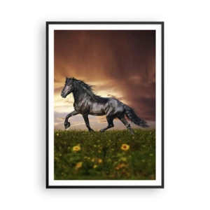 Plakat w czarnej ramie - Czarny książę - 70x100 cm