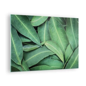 Obraz na szkle - Zbliżenie zielonych liści ułożonych warstwowo - 70x50cm - Soczyste i świeże - Nowoczesna dekoracja ścienna do salonu i sypialni ARTTOR