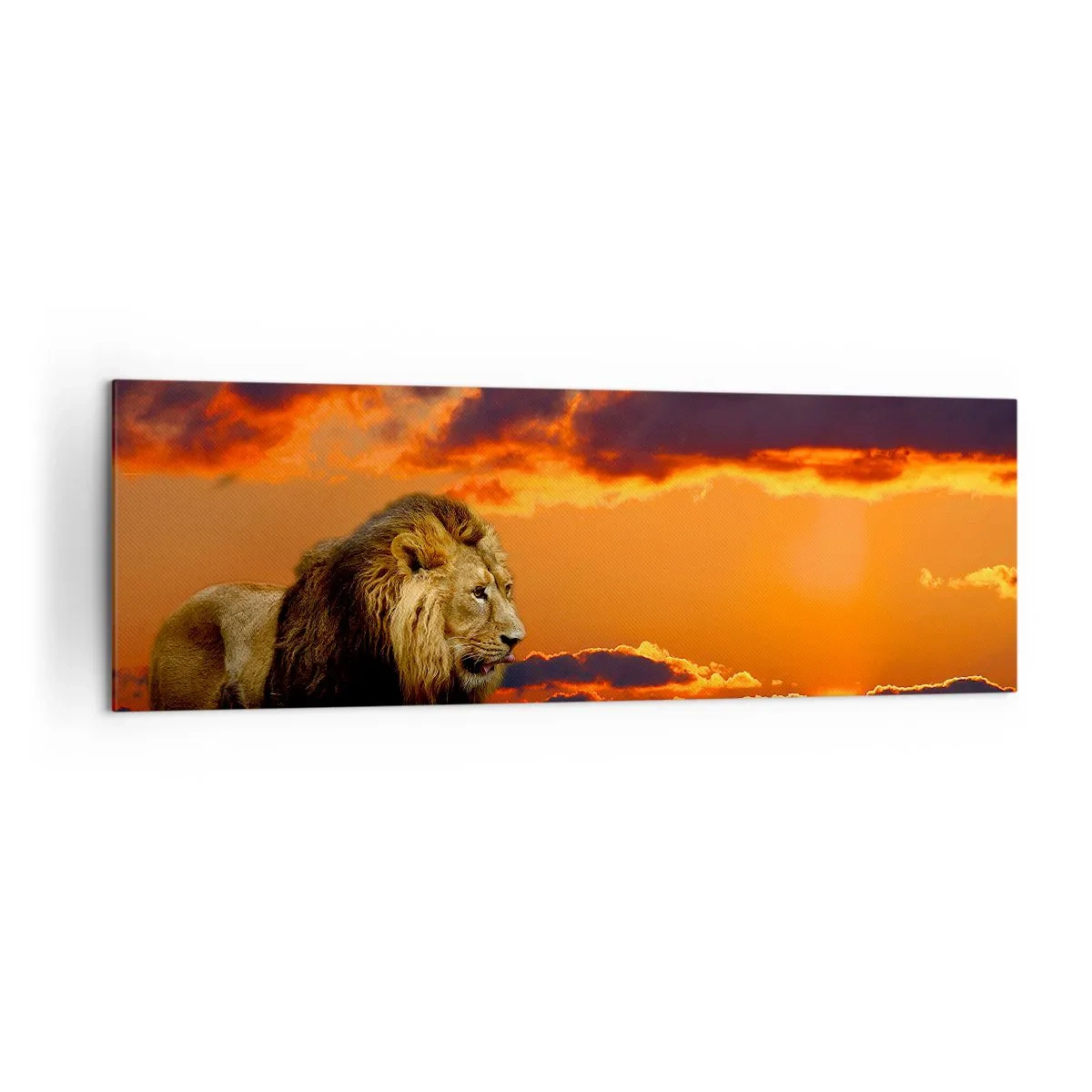 Obraz na płótnie - Lew spoczywający nad wodą o zachodzie słońca z dramatycznym niebem - 160x50cm - Król natury - Nowoczesna dekoracja ścienna do salonu i sypialni ARTTOR