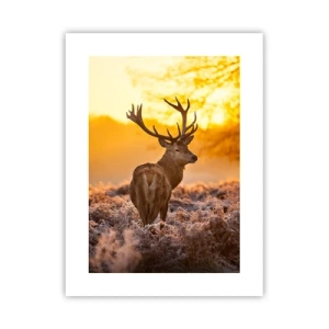 Plakat - Król jesiennego lasu - 30x40 cm