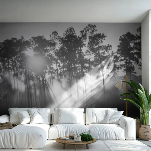 Fototapeta Standard Eco - Niepowstrzymane słońce - Krajobraz, Las, Natura - 500x350 cm