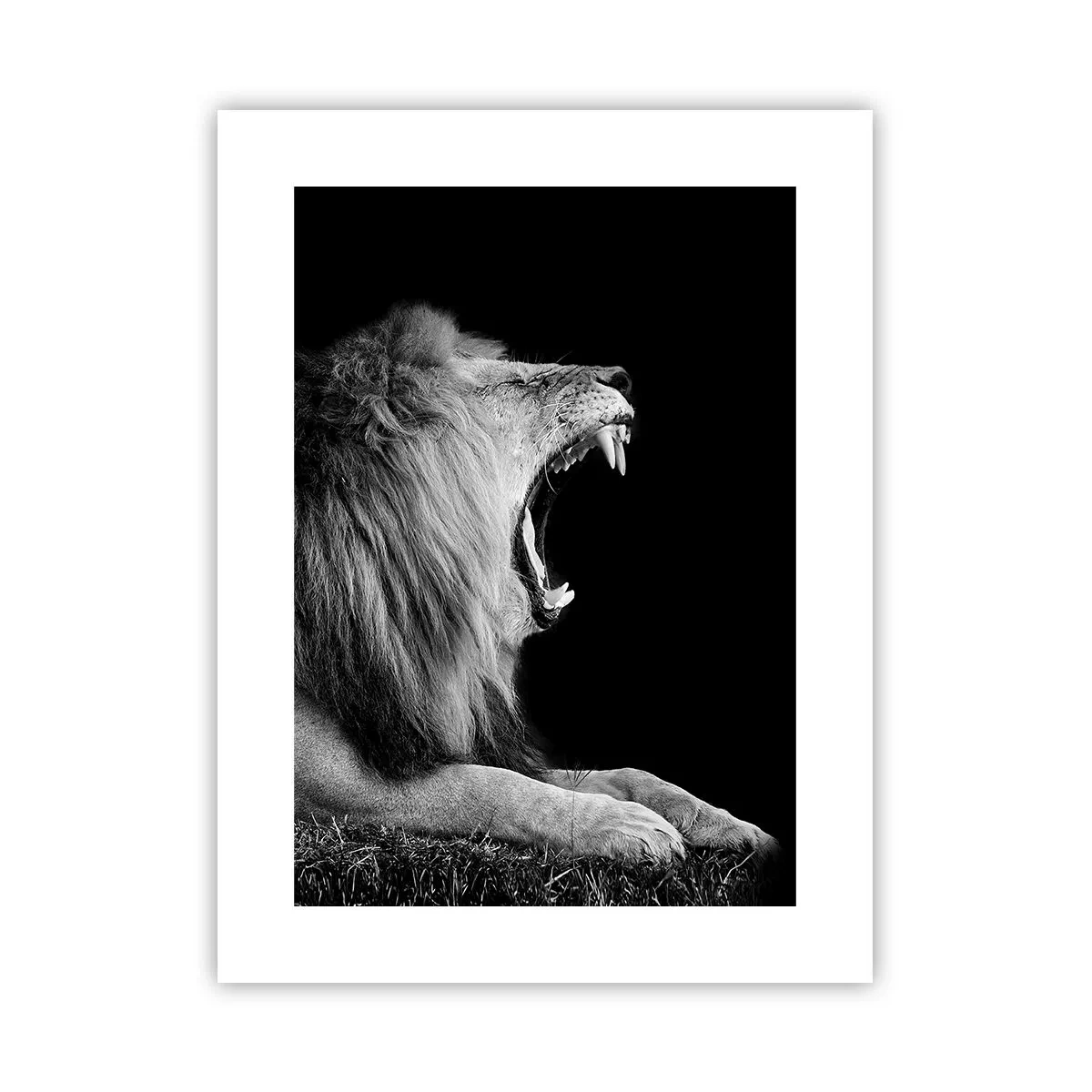 Plakat - Bez żadnych wątpliwości - 30x40 cm