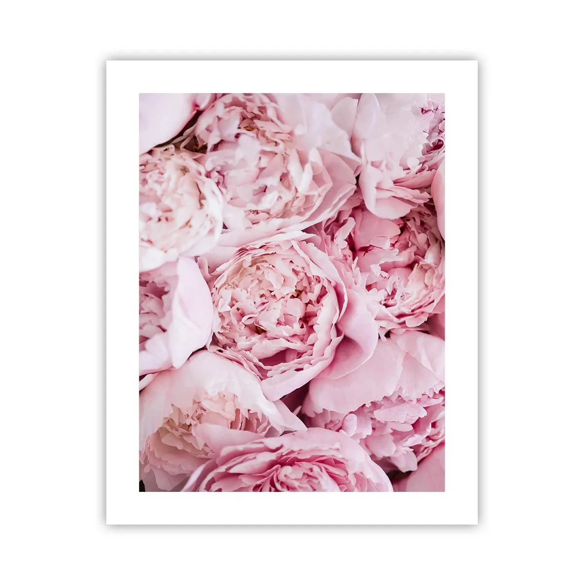 Plakat - Przytulone i pachnące - 40x50 cm