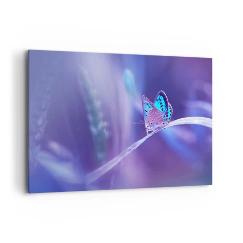 Obraz na płótnie - Delikatny niebieski motyl na łodydze w świetle fioletowym - 120x80cm - Klejnot natury - Nowoczesna dekoracja ścienna do salonu, kuchni i sypialni ARTTOR