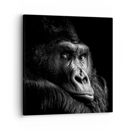 Obraz na płótnie - I co się patrzysz? - 30x30 cm