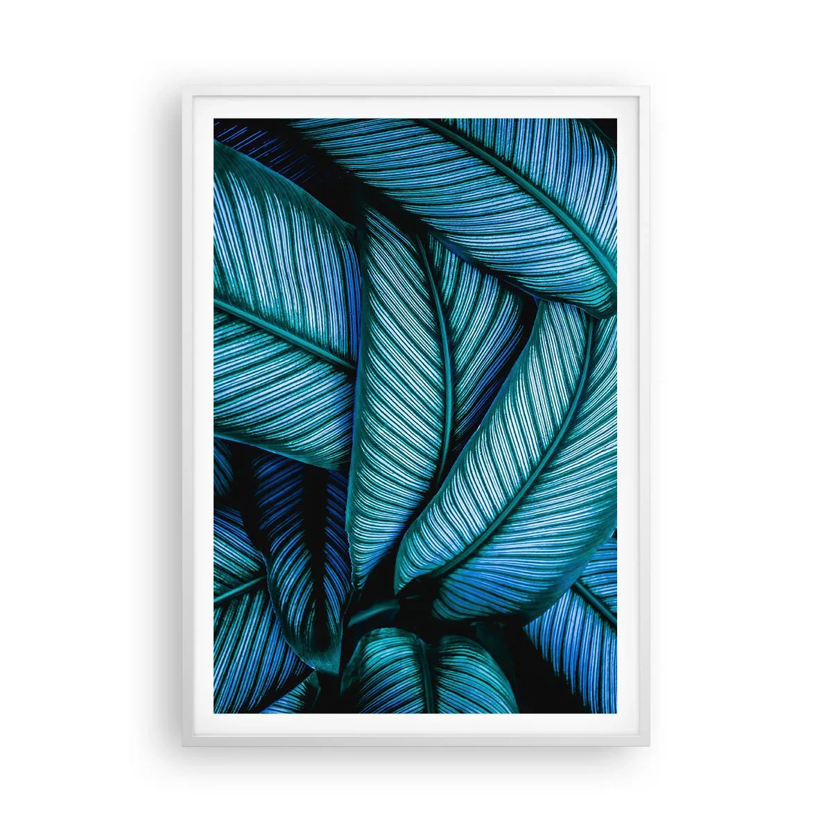 Plakat w białej ramie - Linie życia - 70x100 cm