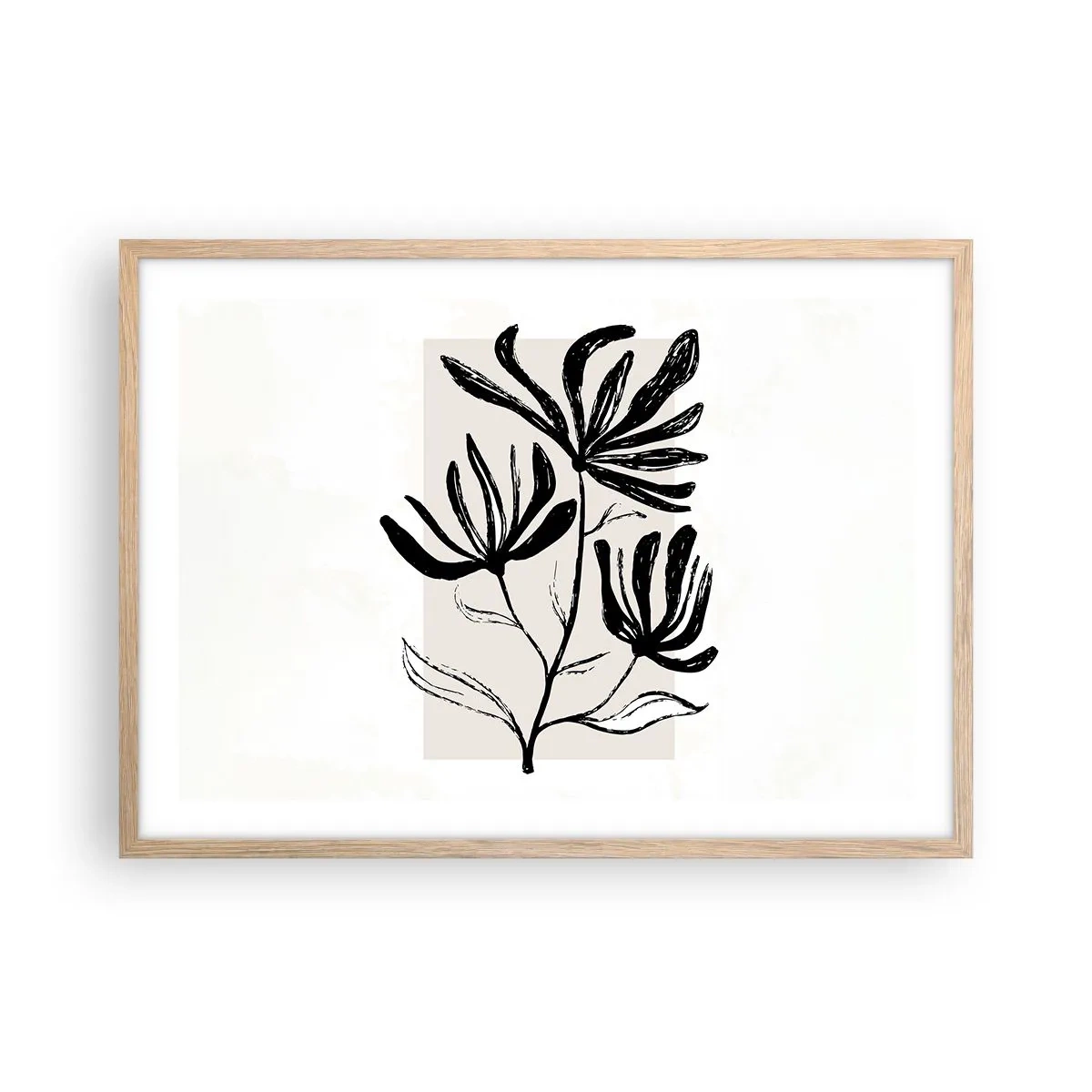Plakat w ramie jasny dąb - Szkic do zielnika - 70x50 cm