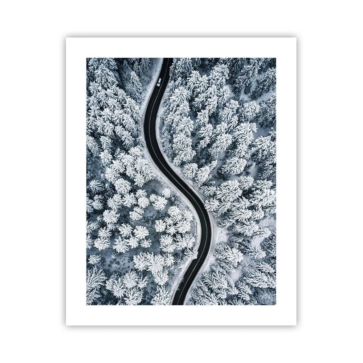 Plakat - Przez zimowy las - 40x50 cm