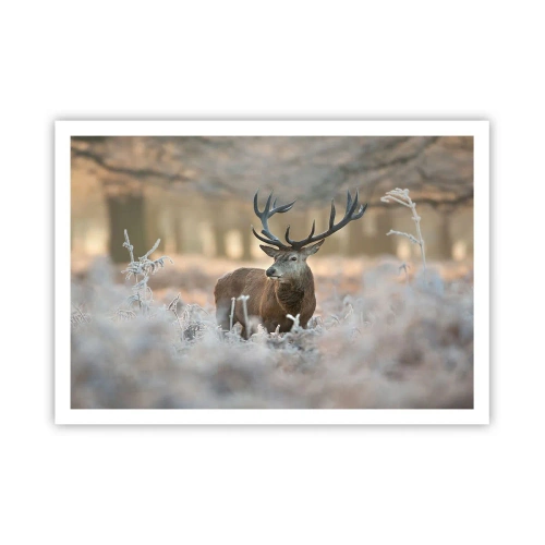 Plakat - Jeleń na mroźnej polanie w zimowym lesie o subtelnych barwach - 100x70cm - Rześki poranek - Nowoczesna dekoracja ścienna do salonu i sypialni ARTTOR