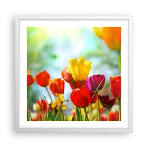Plakat w białej ramie - Wszystkie barwy słońca - 50x50 cm