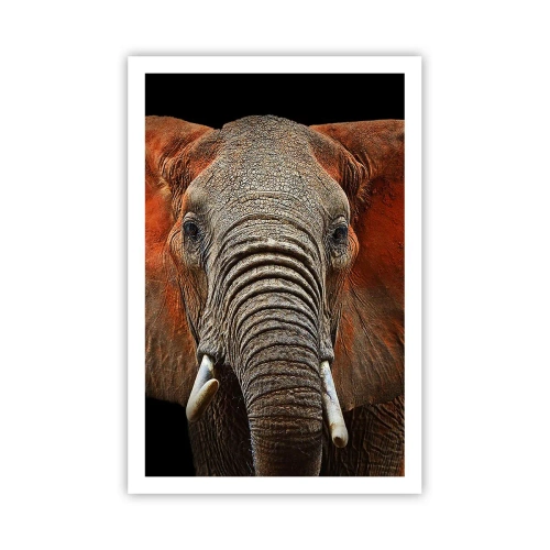 Plakat - Jestem dziki, a ty? - 61x91 cm