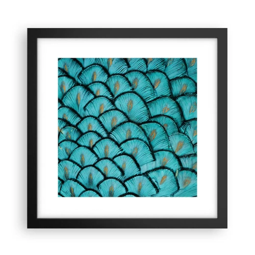 Plakat w czarnej ramie - Wielka gala piór - 30x30 cm