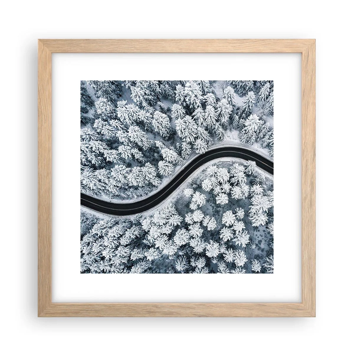 Plakat w ramie jasny dąb - Przez zimowy las - 30x30 cm