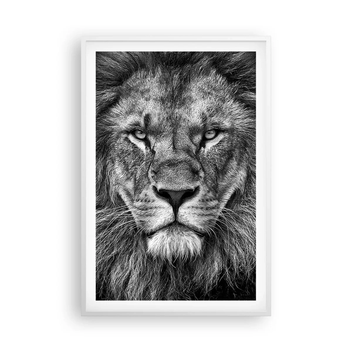 Plakat w białej ramie - W stroju koronacyjnym - 61x91 cm