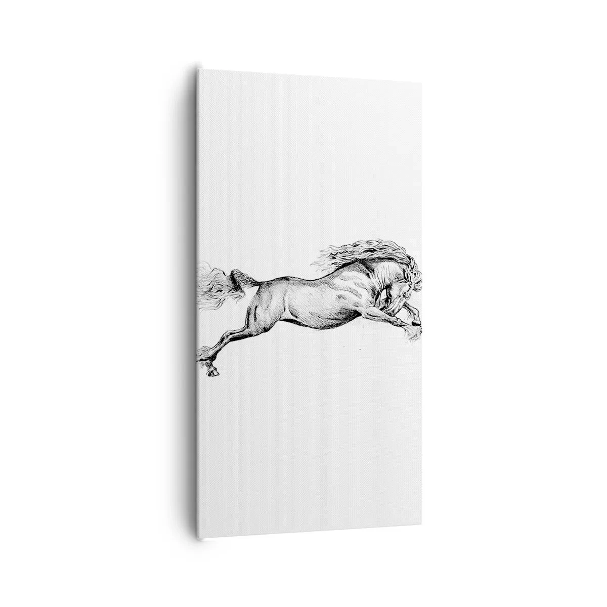 Obraz na płótnie - Zatrzymany w galopie - 65x120 cm