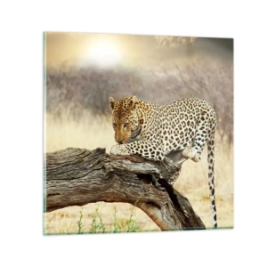 Obraz na szkle - Chadzam własnymi drogami - 60x60 cm