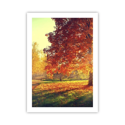 Plakat - Jesienny park z drzewem o złotych liściach w słońcu - 50x70cm - Rude jest piękne - Nowoczesna dekoracja ścienna do salonu, kuchni i sypialni ARTTOR