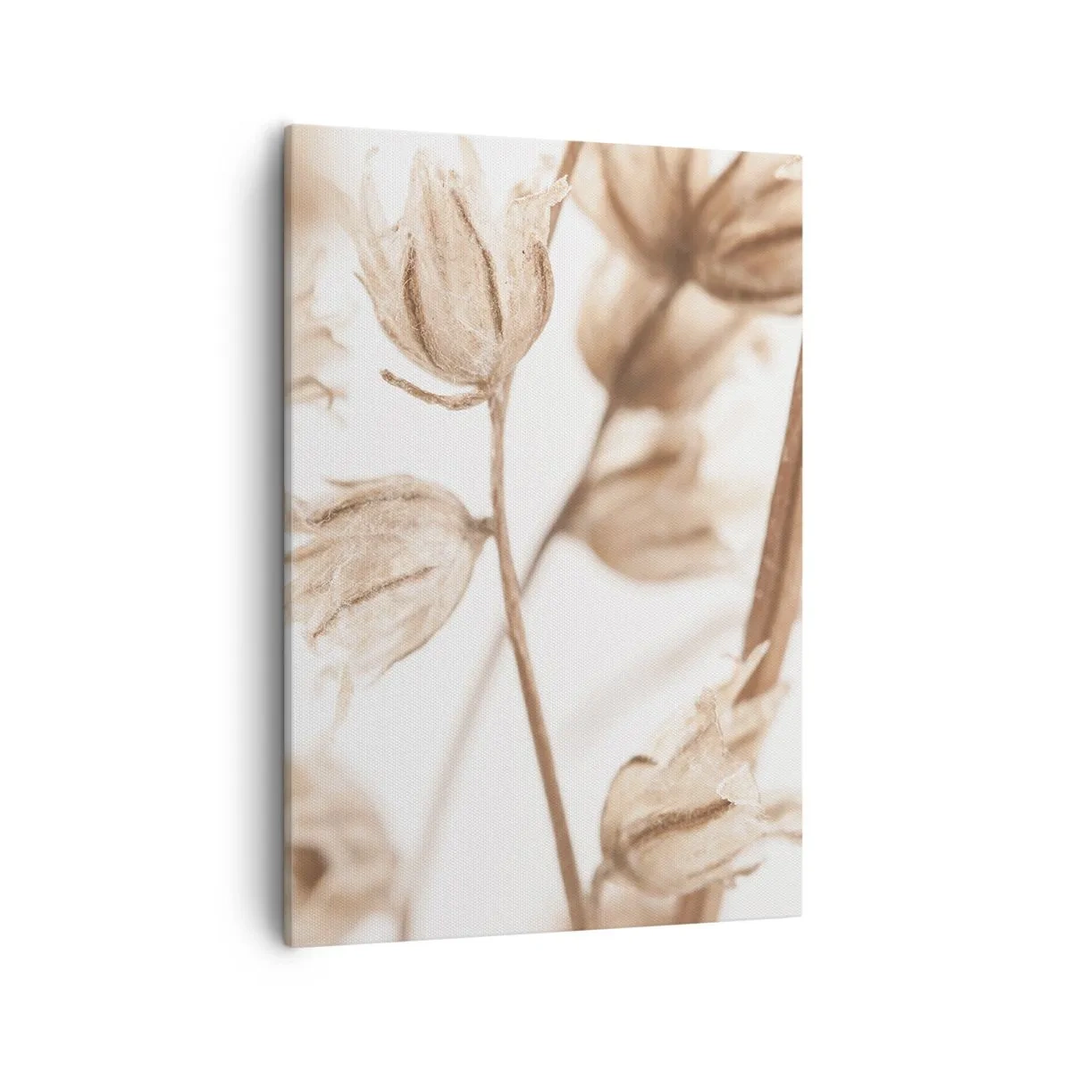 Obraz na płótnie - Delikatne wysuszone kwiaty w odcieniach beżu i brązu - 50x70cm - Dzwonią na koniec lata - Nowoczesna dekoracja ścienna do salonu, kuchni i sypialni ARTTOR