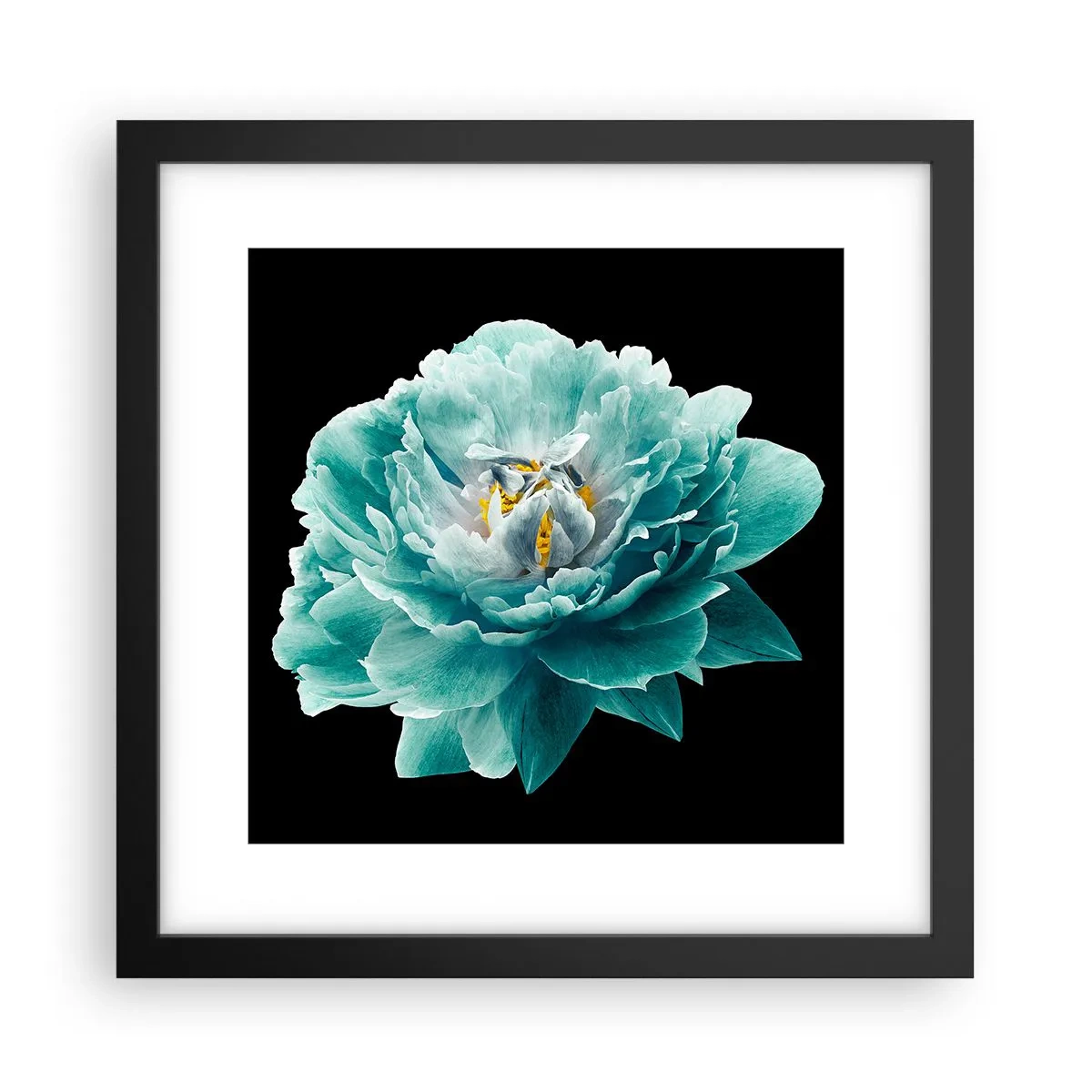 Plakat w czarnej ramie - Płatki błękitne i złote - 30x30 cm