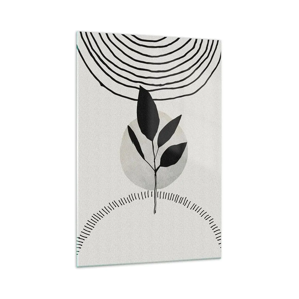 Obraz na szkle - Minimalistyczna ilustracja rośliny z geometrycznymi elementami w czerni i bieli - 70x100cm - Kompozycja: rytuały natury - Nowoczesna dekoracja ścienna do salonu i sypialni ARTTOR