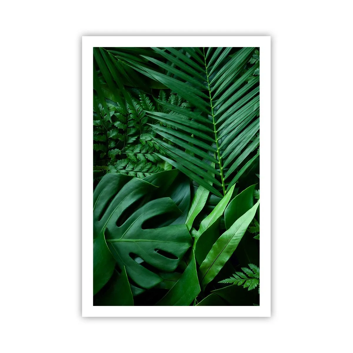 Plakat - Utulone w zieleni - 61x91 cm