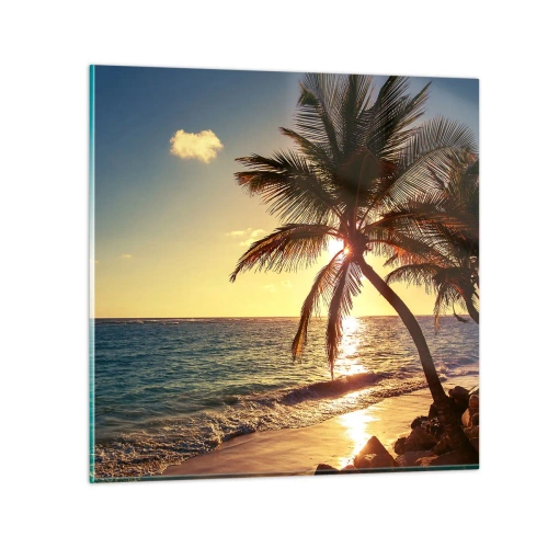 Obraz na szkle - Lato pod palmami - 50x50 cm