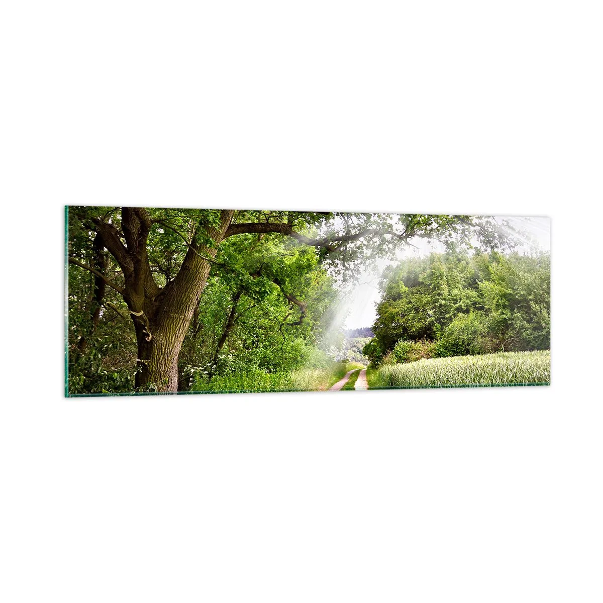 Obraz na szkle - Et in Arcadia ego - 90x30 cm