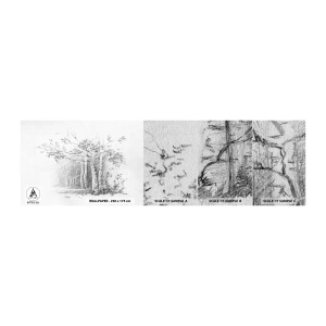 Fototapeta Próbka Premium Sand - Światło brzozowego lasu - Las, Brzoza, Drzewa - 100x30 cm