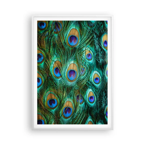 Plakat w białej ramie - Pawiookie spojrzenie - 70x100 cm