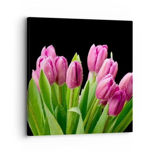 Obraz na płótnie - Liliowa radość wiosny - 30x30 cm