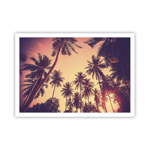 Plakat - Palmy na tle nieba o ciepłych barwach zachodu słońca - 100x70cm - Tropikalna wariacja - Nowoczesna dekoracja ścienna do salonu i sypialni ARTTOR