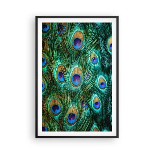 Plakat w czarnej ramie - Pawiookie spojrzenie - 61x91 cm