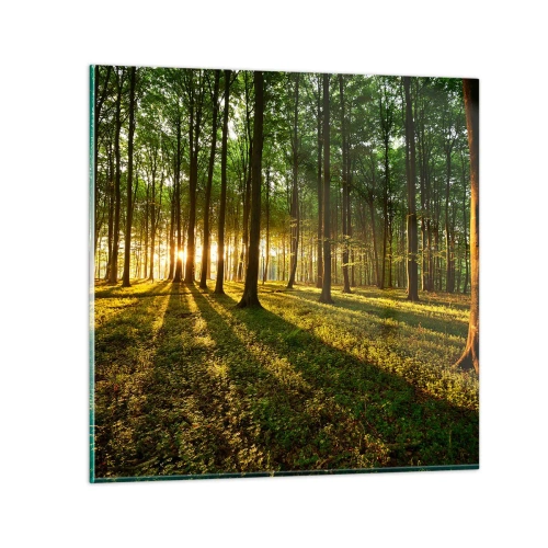 Obraz na szkle - Fotografia wszystkich wiosen - 30x30 cm