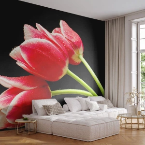 Fototapeta Premium Sand - Obietnica czystej miłości - Kwiaty, Tulipany, Natura - 350x256 cm
