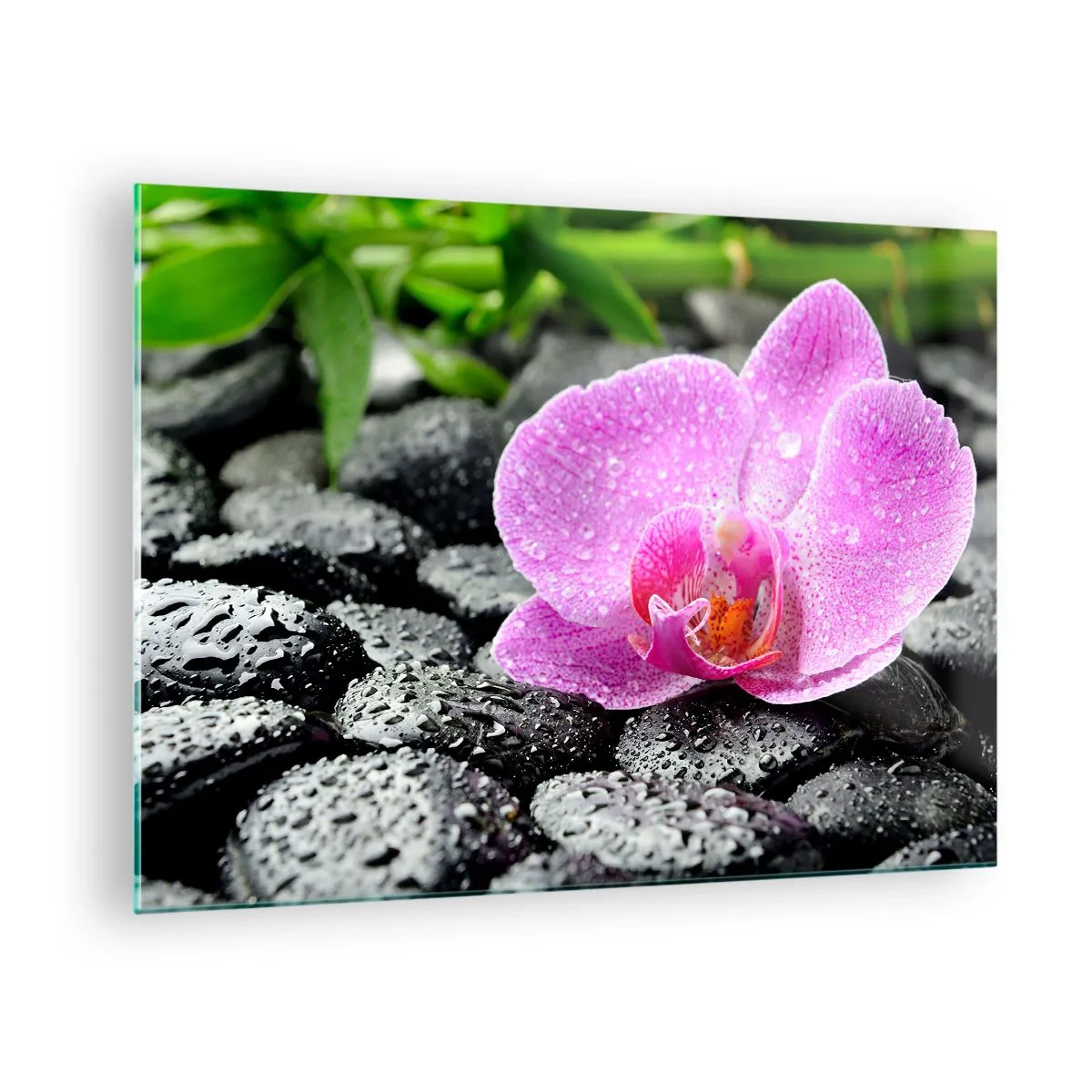 Obraz na szkle - Różowy kwiat orchidei na mokrych czarnych kamieniach - 70x50cm - Jak otwarte serce - Nowoczesna dekoracja ścienna do salonu i sypialni ARTTOR
