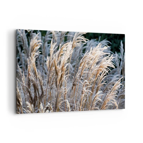 Obraz na płótnie - Zimowe źdźbła traw pokryte szronem na tle ciemnej zieleni - 100x70cm - Szronem ustrojone - Nowoczesna dekoracja ścienna do salonu, kuchni i sypialni ARTTOR
