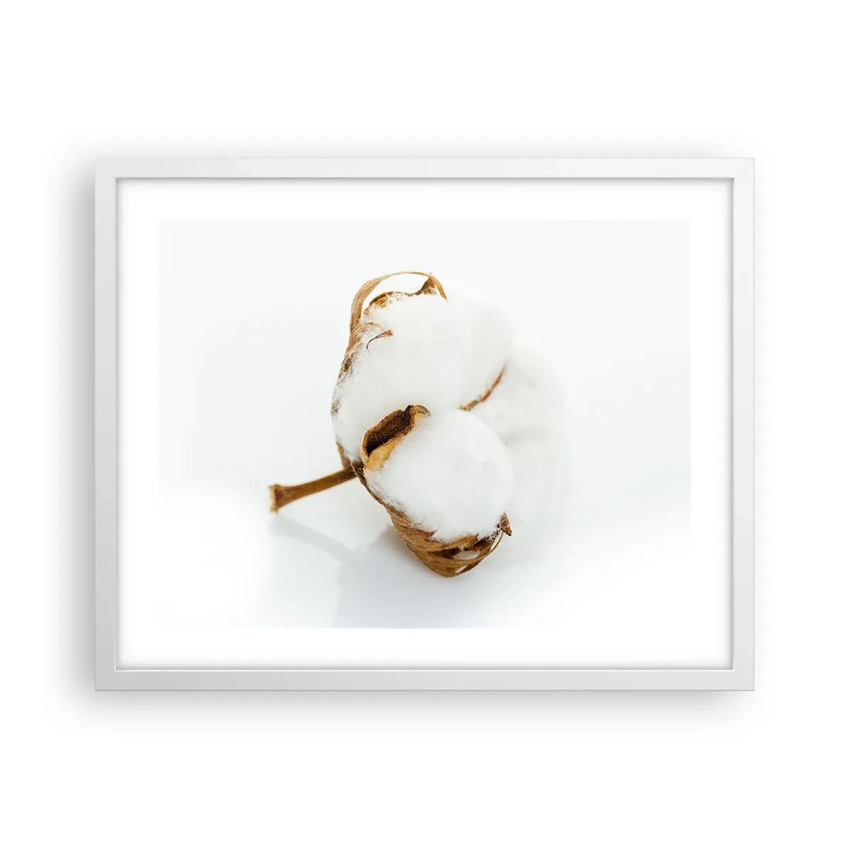 Plakat w białej ramie - Miękka z natury - 50x40 cm